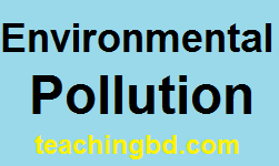 Environment pollution paragraph